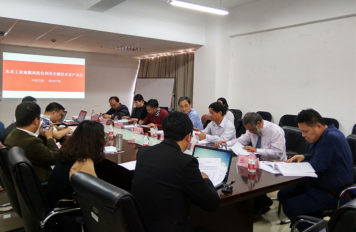 橡胶籽、小桐子油脂制备生物基材料关键技术及产业化 anli.jpg